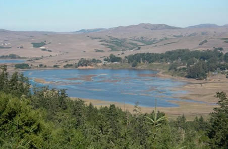 restoring a wetland