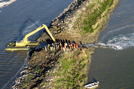 restoring a wetland