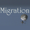 Migration: Science & Mystery