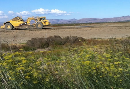 Restoring a wetland