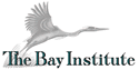 The Bay Institute